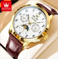 OLEVS 6698 Original Mechanical Watch for Men